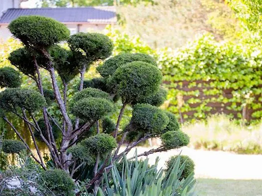 Liliana Pensionat Jastarnia